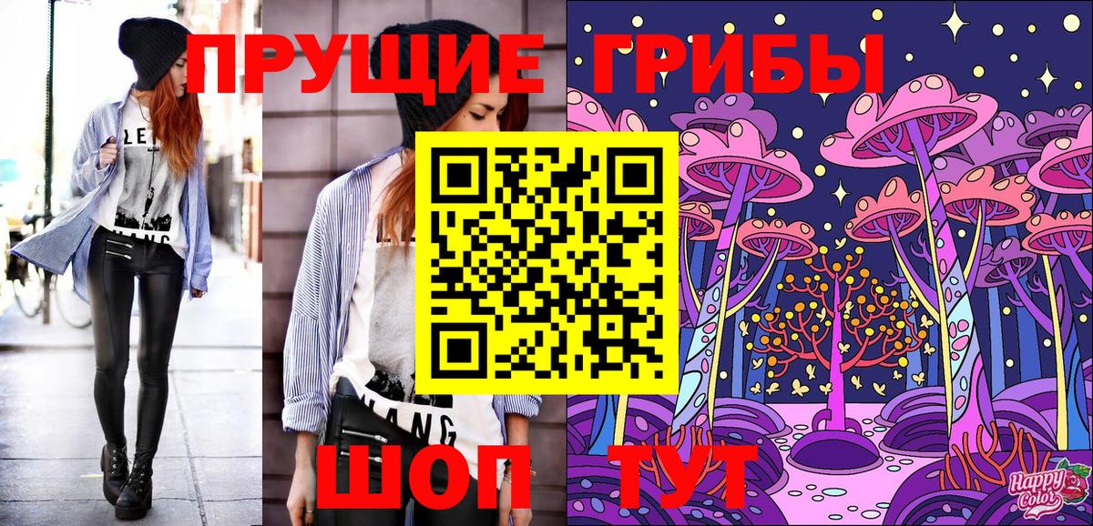 Красноярск  Псилоцибиновые грибы Cubensis  Вход с VPN 